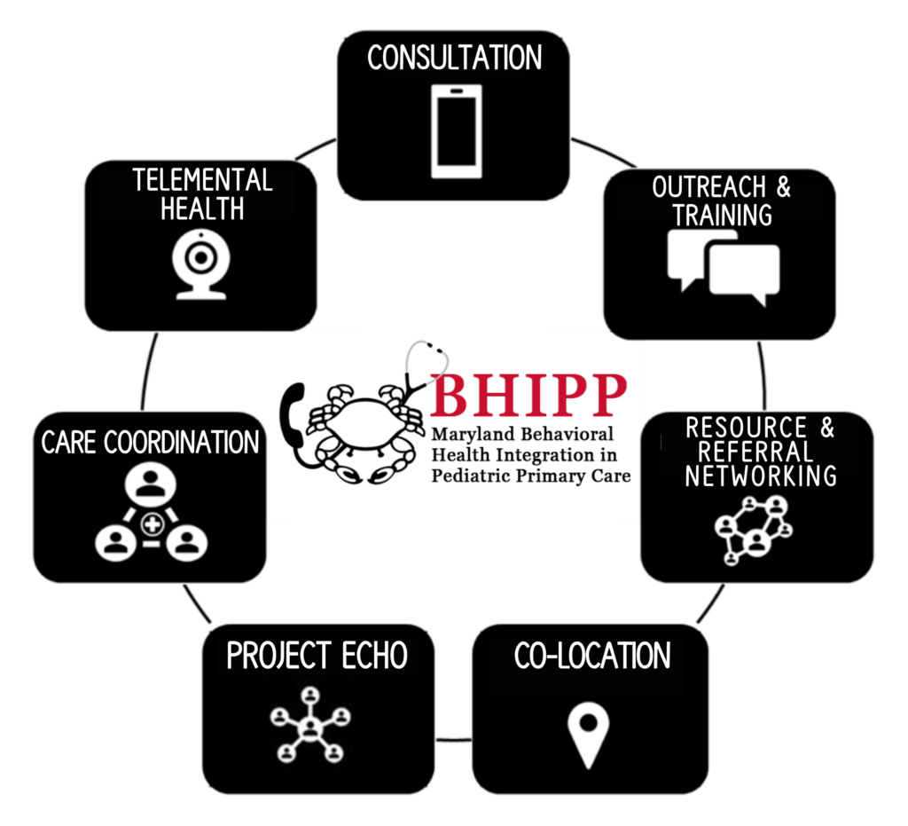 BHIPP What we Do Wheel Infographic